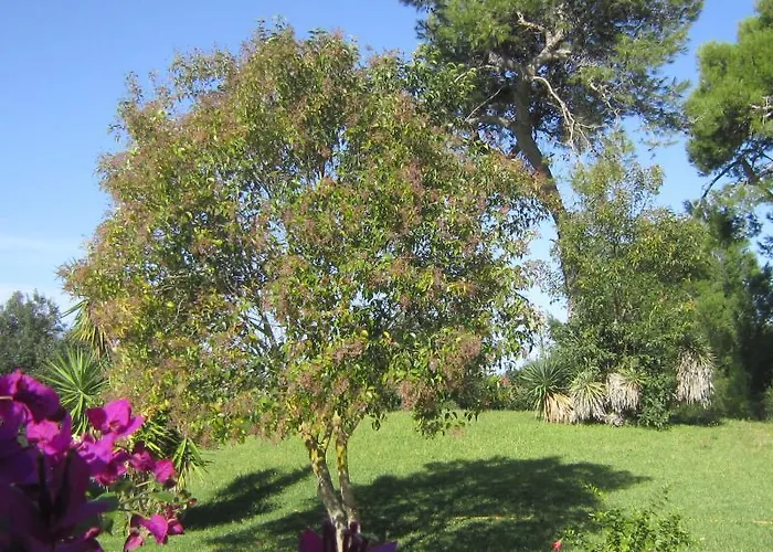 Отель Masseria Fabrizio 3*