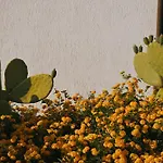 Hotel Masseria Fabrizio 3*