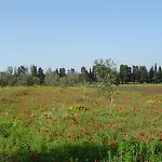 Masseria Fabrizio