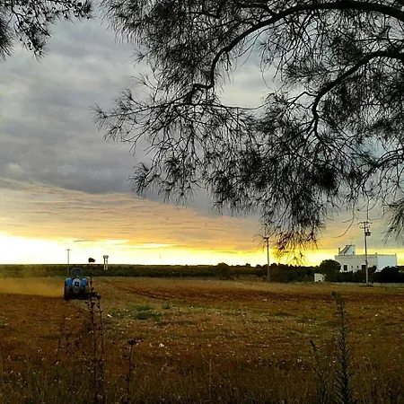 Masseria Fabrizio 3*