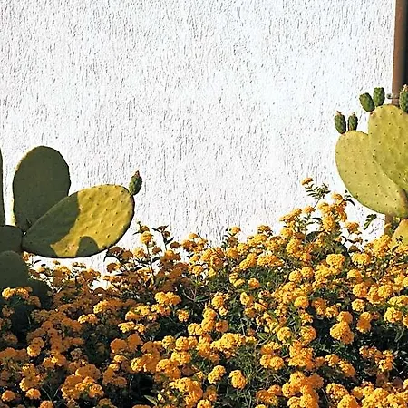 Masseria Fabrizio Hotell