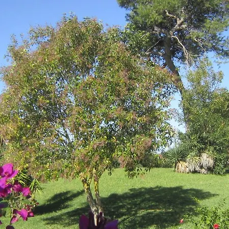 Szálloda Masseria Fabrizio 3*