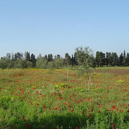 Masseria Fabrizio