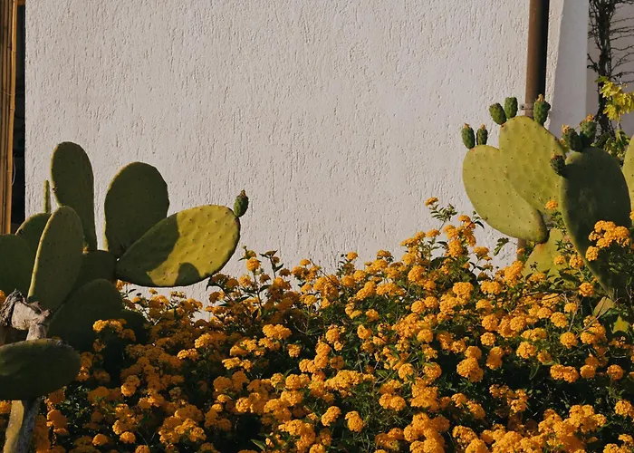 Hotell Masseria Fabrizio 3*